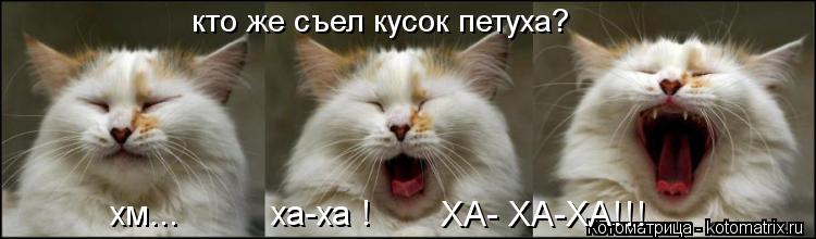 Котоматрица: кто же съел кусок петуха? хм...  ха-ха ! ХА- ХА-ХА!!!
