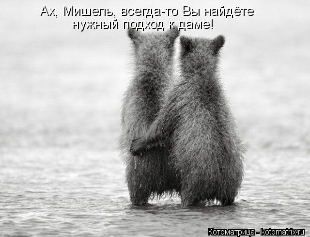 Ах, Мишель, всегда-то Вы найдёте нужный подход к даме!... Котоматрица: Ах, Мишель, всегда-то Вы найдёте нужный подход к даме!