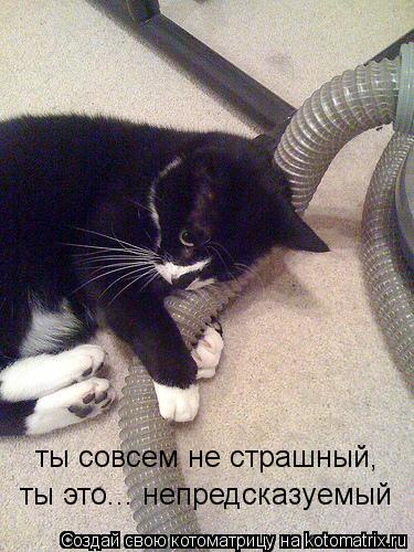 ты совсем не страшный, ты это... непредсказуемый... Котоматрица: ты совсем не страшный, ты это... непредсказуемый
