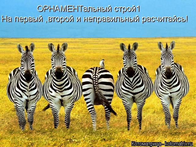Котоматрица: ОРНАМЕНТальный строй1 На первый ,второй и неправильный расчитайсь!