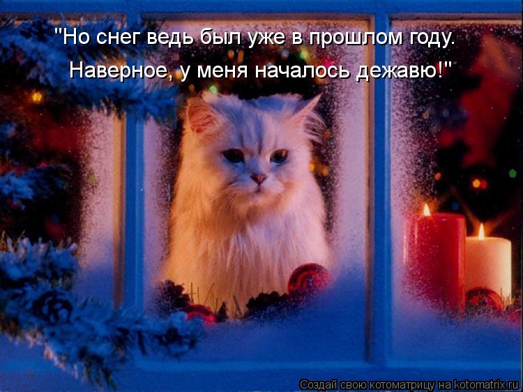 Котоматрица: "Но снег ведь был уже в прошлом году. Наверное, у меня началось дежавю!"