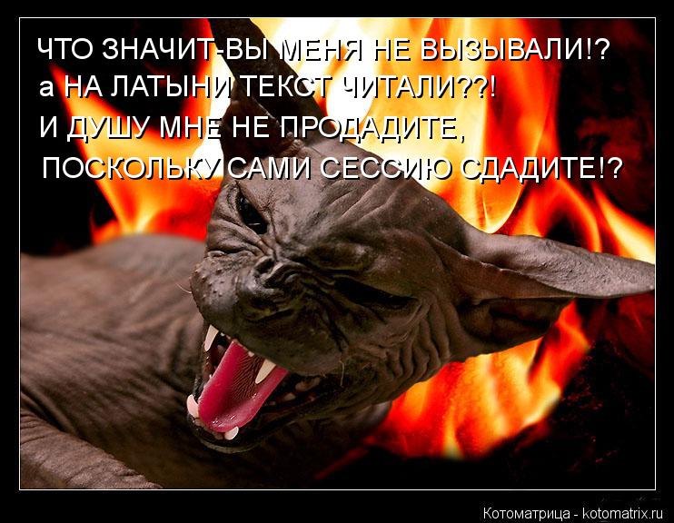 ЧТО ЗНАЧИТ-ВЫ МЕНЯ НЕ ВЫЗЫВАЛИ!? а НА ЛАТЫНИ ТЕКСТ ЧИТАЛИ??! И ДУШУ МНЕ НЕ ПРОДАДИТЕ, ПОСКОЛЬКУ САМИ ... Котоматрица: ЧТО ЗНАЧИТ-ВЫ МЕНЯ НЕ ВЫЗЫВАЛИ!? а НА ЛАТЫНИ ТЕКСТ ЧИТАЛИ??! И ДУШУ МНЕ НЕ ПРОДАДИТЕ, ПОСКОЛЬКУ САМИ СЕССИЮ СДАДИТЕ!?