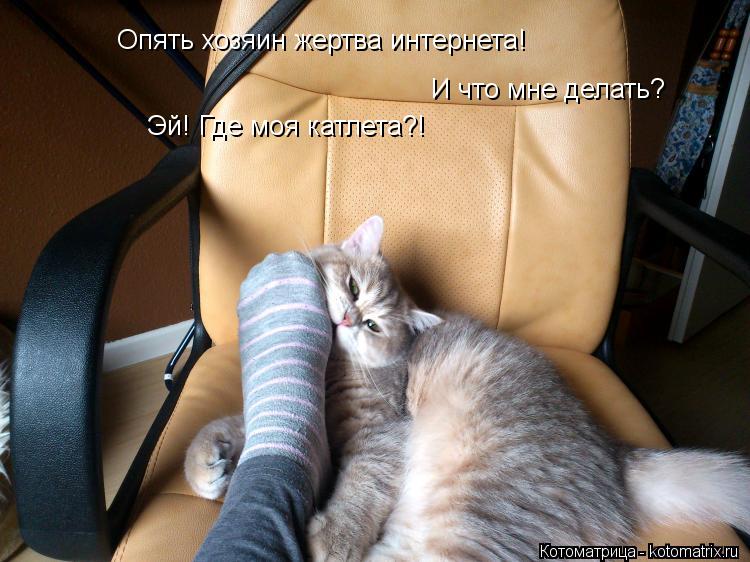 Опять хозяин жертва интернета! И что мне делать? Эй! Где моя катлета?!... Котоматрица: Опять хозяин жертва интернета! И что мне делать? Эй! Где моя катлета?!