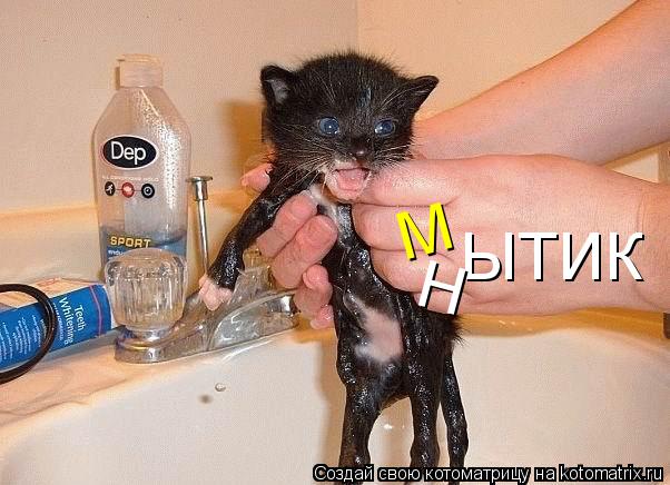 М ЫТИК Н... Котоматрица: М ЫТИК Н