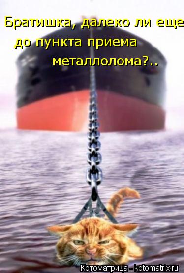 Братишка, далеко ли еще до пункта приема металлолома?..... Котоматрица: Братишка, далеко ли еще до пункта приема металлолома?..
