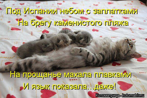 Котоматрица: Под Испании небом с заплатками На брегу каменистого пляжа На прощанье махала плавками И язык показала...даже!