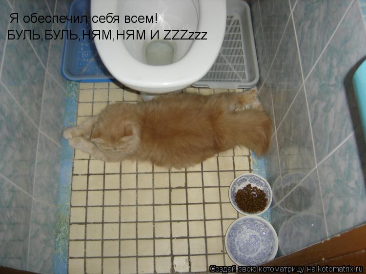 Я обеспечил себя всем! БУЛЬ,БУЛЬ,НЯМ,НЯМ И ZZZzzz... Котоматрица: Я обеспечил себя всем! БУЛЬ,БУЛЬ,НЯМ,НЯМ И ZZZzzz