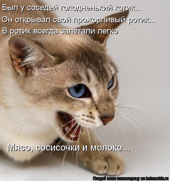 Котоматрица: Был у соседей голодненький котик... Он открывал свой прожорливый ротик... В ротик всегда залетали легко  Мясо, сосисочки и молоко...