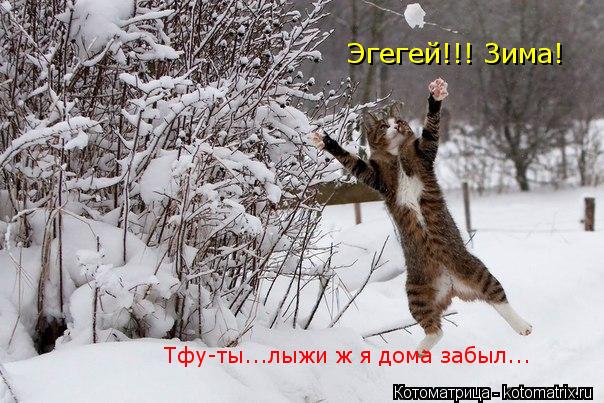 Тфу-ты...лыжи ж я дома забыл... Эгегей!!! Зима!... Котоматрица: Тфу-ты...лыжи ж я дома забыл... Эгегей!!! Зима!
