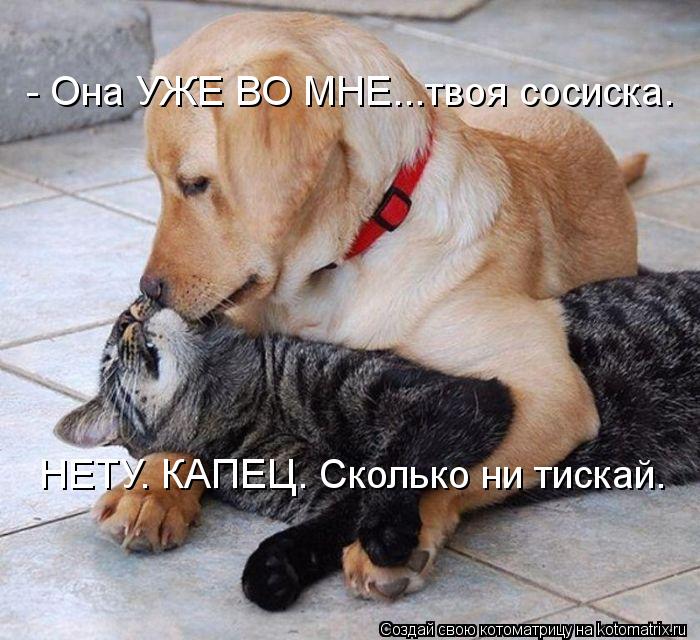 - Она УЖЕ ВО МНЕ...твоя сосиска. НЕТУ. КАПЕЦ. Сколько ни тискай.... Котоматрица: - Она УЖЕ ВО МНЕ...твоя сосиска. НЕТУ. КАПЕЦ. Сколько ни тискай.