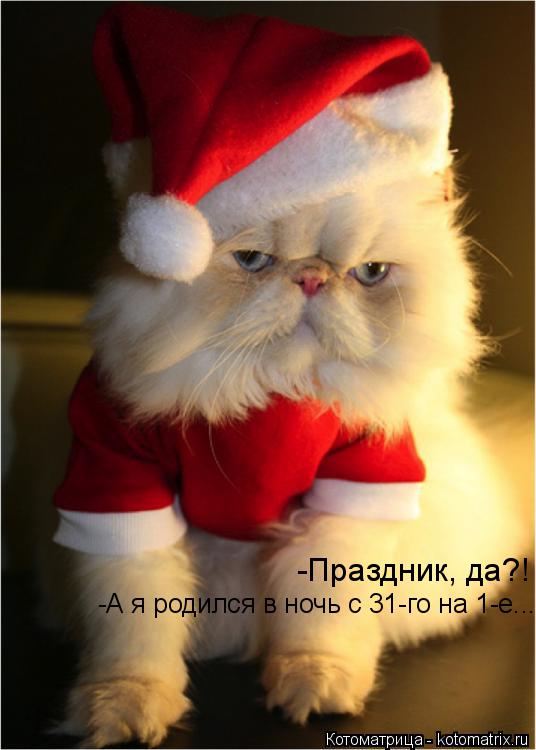 Котоматрица: -Праздник, да?! -А я родился в ночь с 31-го на 1-е...