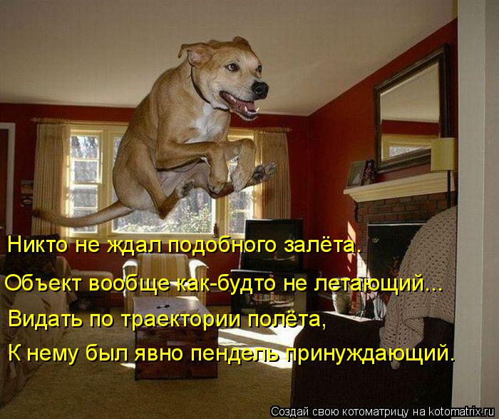 Никто не ждал подобного залёта. Объект вообще как-будто не летающий... Видать по траектории полёта, К... Котоматрица: Никто не ждал подобного залёта. Объект вообще как-будто не летающий... Видать по траектории полёта, К нему был явно пендель принуждающий.
