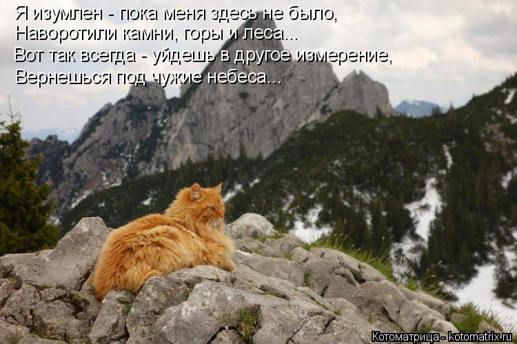 Котоматрица: Я изумлен - пока меня здесь не было, Наворотили камни, горы и леса... Вот так всегда - уйдешь в другое измерение, Вернешься под чужие небеса...