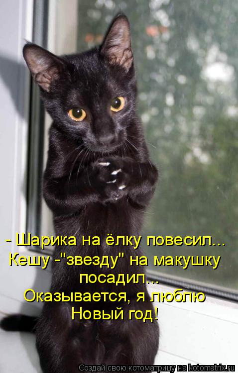 Котоматрица: - Шарика на ёлку повесил... Кешу -"звезду" на макушку посадил... Оказывается, я люблю Новый год!