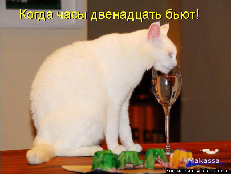 Котоматрица: Когда часы двенадцать бьют!