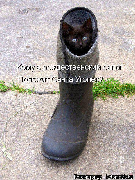 Котоматрица: Кому в рождественский сапог Положит Санта Уголек?