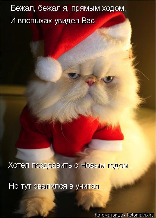 Котоматрица: Бежал, бежал я, прямым ходом, И впопыхах увидел Вас. Хотел поздравить с Новым годом Но тут свалился в унитаз... ,