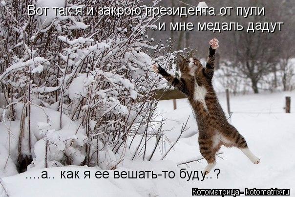 Котоматрица: Вот так я и закрою президента от пули и мне медаль дадут ....а.. как я ее вешать-то буду..?