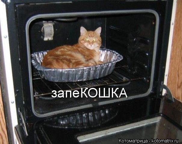 Котоматрица: запеКОШКА