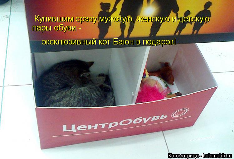 Котоматрица: Купившим сразу мужскую, женскую и детскую  пары обуви -  эксклюзивный кот Баюн в подарок!