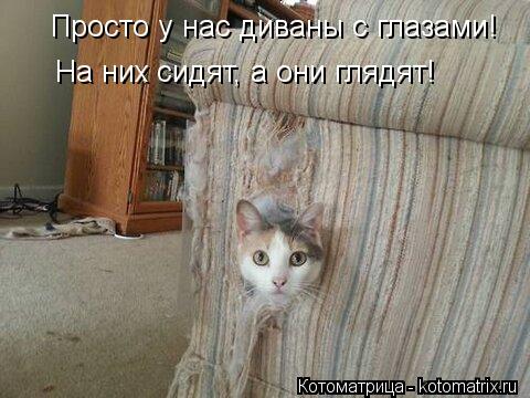 Котоматрица: Просто у нас диваны с глазами! На них сидят, а они глядят!