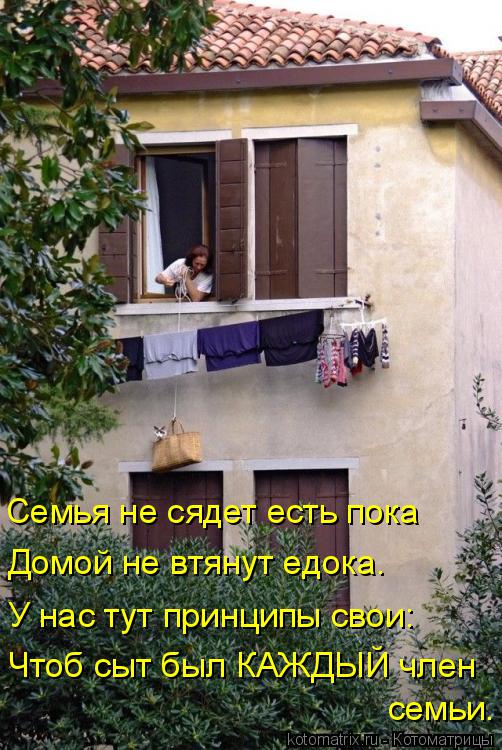 Семья не сядет есть пока Домой не втянут едока. У нас тут принципы свои: семьи. Чтоб сыт был КАЖДЫЙ ч... Котоматрица: Семья не сядет есть пока Домой не втянут едока. У нас тут принципы свои: семьи. Чтоб сыт был КАЖДЫЙ член