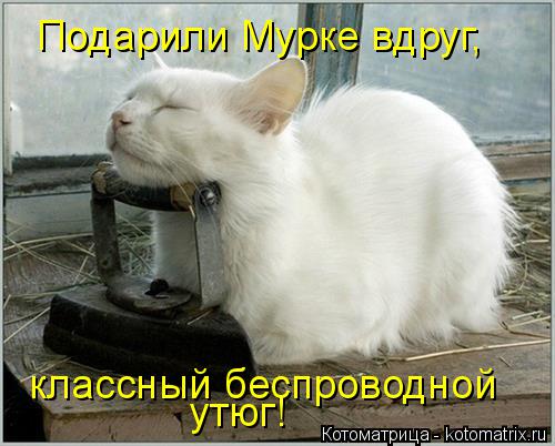 Котоматрица: Подарили Мурке вдруг, классный беспроводной утюг!