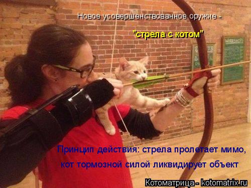Новое усовершенствованное оружие - "стрела с котом" кот тормозной силой ликвидирует объект Принцип д... Котоматрица: Новое усовершенствованное оружие - "стрела с котом" кот тормозной силой ликвидирует объект Принцип действия: стрела пролетает мимо,
