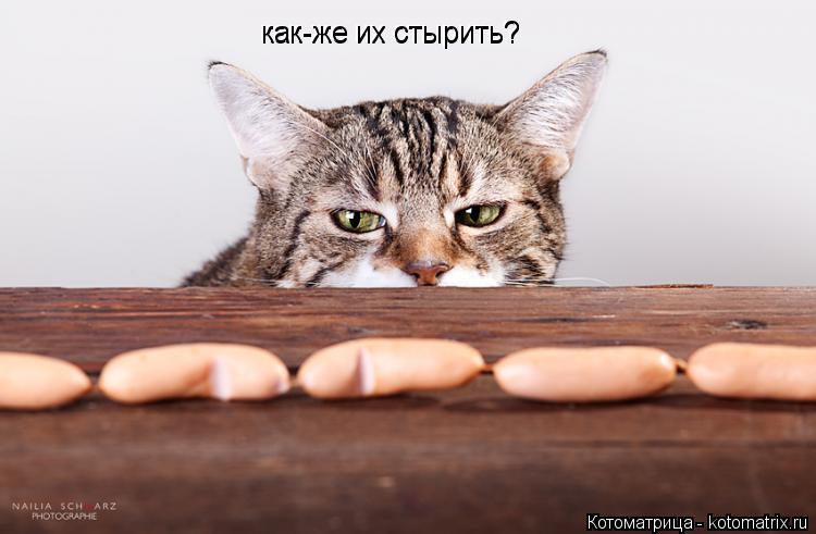 Котоматрица: как-же их стырить? как-же их стырить?