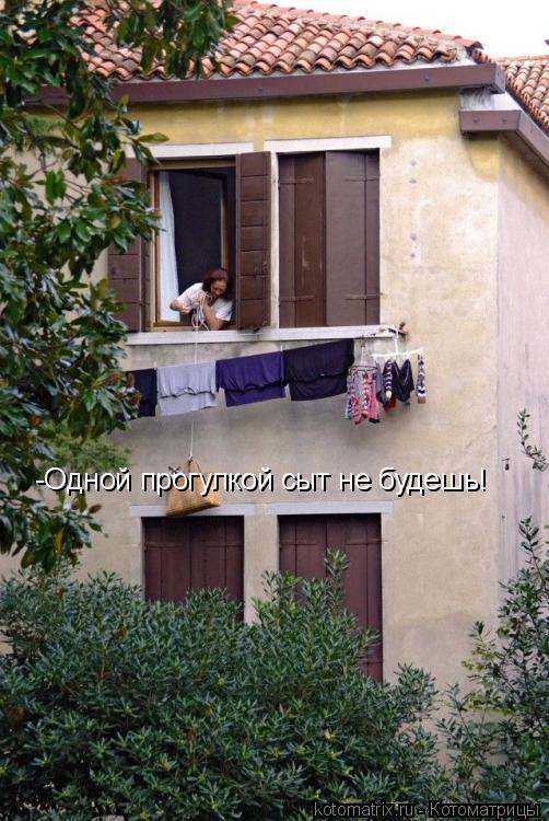 Котоматрица: -Одной прогулкой сыт не будешь!