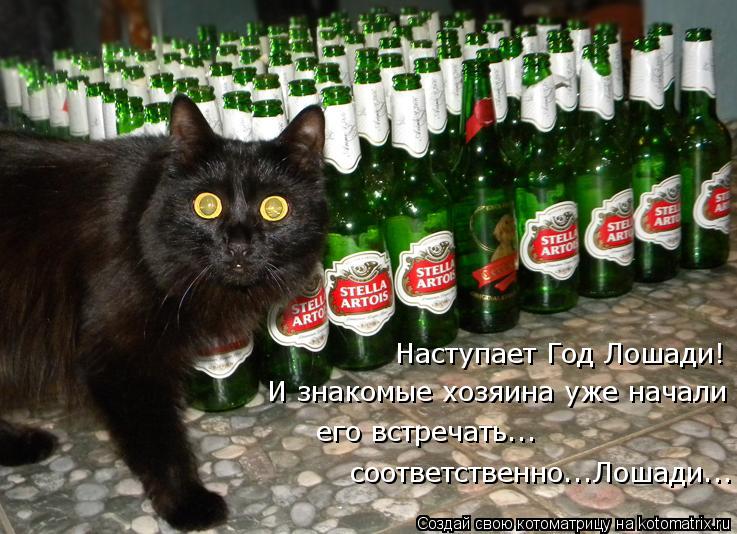 Котоматрица: Наступает Год Лошади! И знакомые хозяина уже начали  его встречать... соответственно...Лошади...