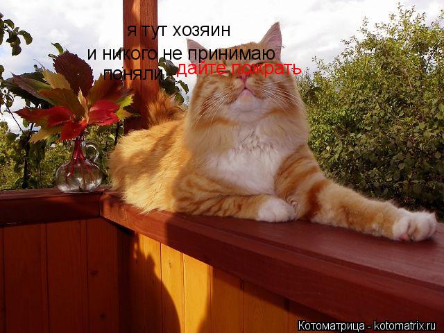 я тут хозяин и никого не принимаю поняли дайте пожрать... Котоматрица: я тут хозяин и никого не принимаю поняли дайте пожрать