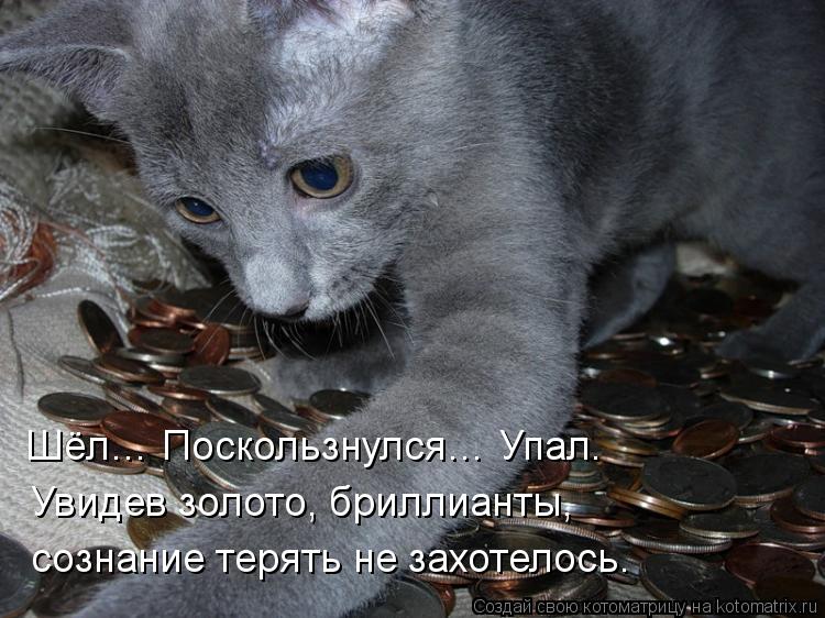 Котоматрица: Шёл… Поскользнулся… Упал. Увидев золото, бриллианты, сознание терять не захотелось.