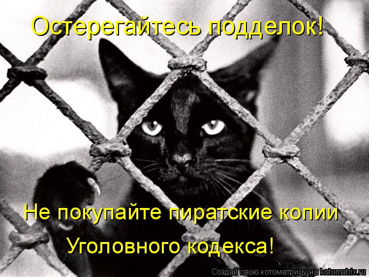 Котоматрица: Не покупайте пиратские копии Уголовного кодекса! Остерегайтесь подделок!