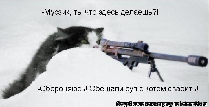 Котоматрица: -Мурзик, ты что здесь делаешь?! -Обороняюсь! Обещали суп с котом сварить!