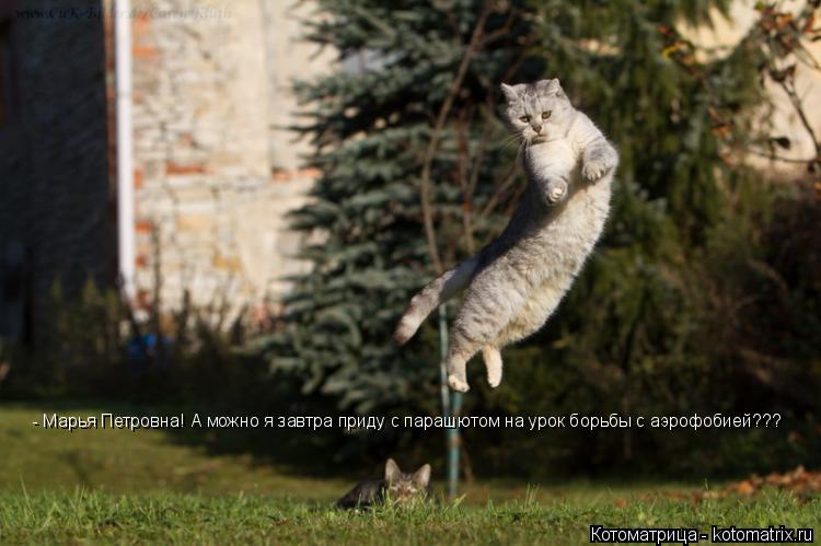 - Марья Петровна! А можно я завтра приду с парашютом на урок борьбы с аэрофобией???... Котоматрица: - Марья Петровна! А можно я завтра приду с парашютом на урок борьбы с аэрофобией???