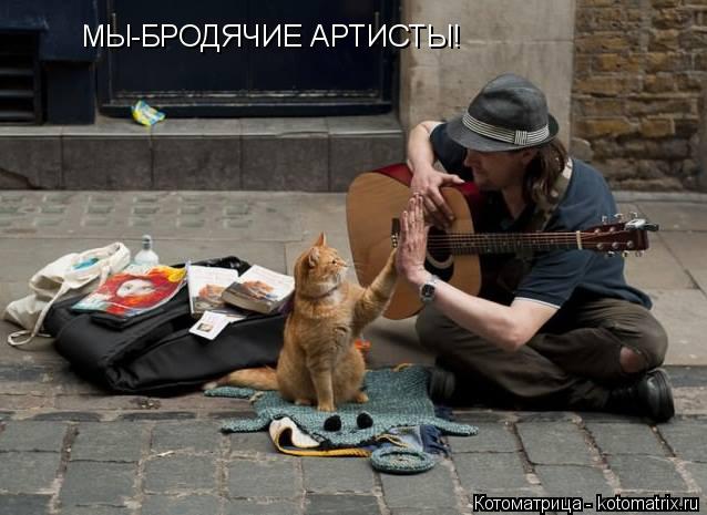 Котоматрица: МЫ-БРОДЯЧИЕ АРТИСТЫ!