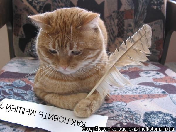 Котоматрица: КАК ЛОВИТЬ МЫШЕЙ ?