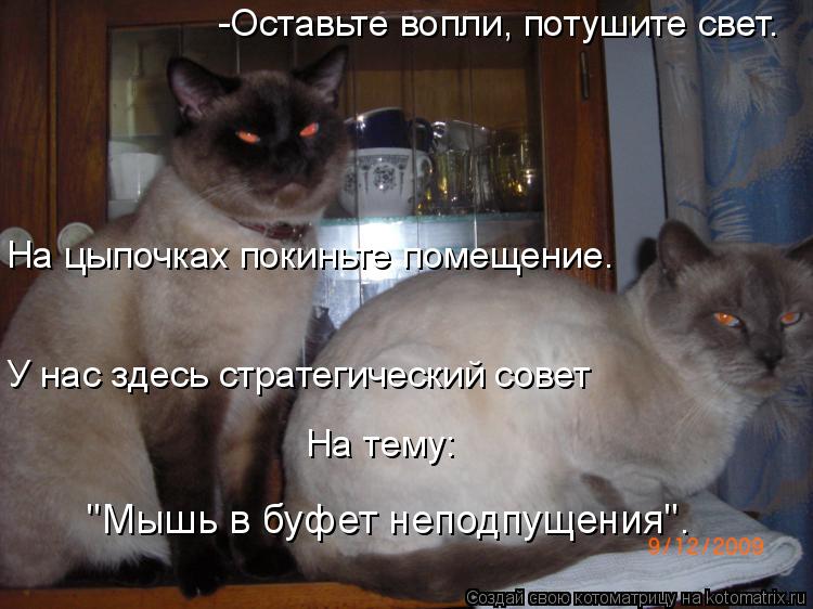 -Оставьте вопли, потушите свет. На цыпочках покиньте помещение. У нас здесь стратегический совет "Мы... Котоматрица: -Оставьте вопли, потушите свет. На цыпочках покиньте помещение. У нас здесь стратегический совет "Мышь в буфет неподпущения". На тему: