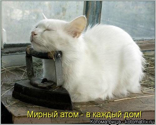 Мирный атом - в каждый дом!... Котоматрица: Мирный атом - в каждый дом!