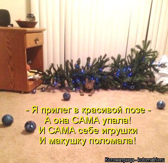 - Я прилег в красивой позе - А она САМА упала! И САМА себе игрушки И макушку поломала!... Котоматрица: - Я прилег в красивой позе - А она САМА упала! И САМА себе игрушки И макушку поломала!