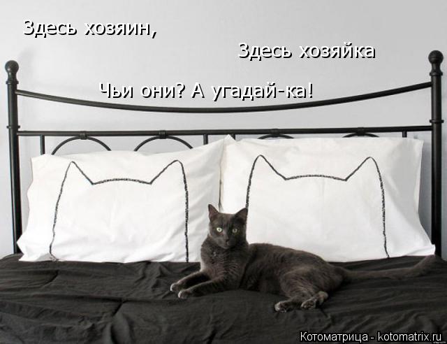 Здесь хозяин, Здесь хозяйка Чьи они? А угадай-ка!... Котоматрица: Здесь хозяин, Здесь хозяйка Чьи они? А угадай-ка!