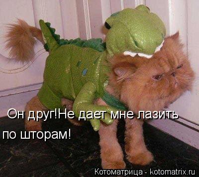 Он друг!Не дает мне лазить по шторам!... Котоматрица: Он друг!Не дает мне лазить по шторам!