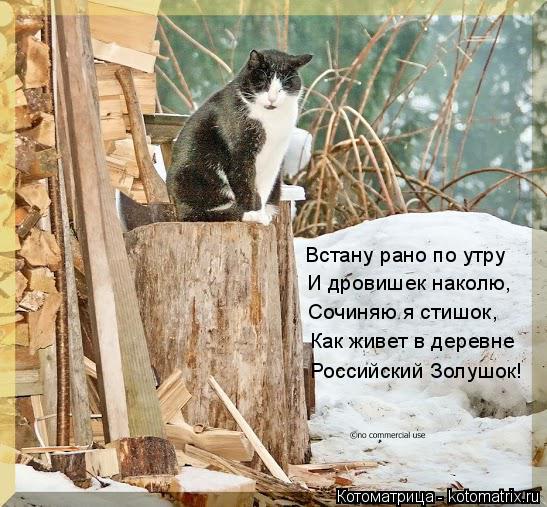 Встану рано по утру И дровишек наколю, Сочиняю я стишок, Как живет в деревне Российский Золушок!... Котоматрица: Встану рано по утру И дровишек наколю, Сочиняю я стишок, Как живет в деревне Российский Золушок!