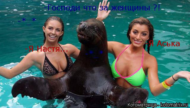 Котоматрица: -Господи что за женщины ?! -Я Настя... -Я Аська -*_* -*_*