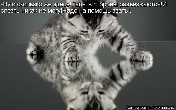 -Ну и скользко же здесь!Лапы в стороны разъезжаются!И слезть никак не могу!Надо на помощь звать!..... Котоматрица: -Ну и скользко же здесь!Лапы в стороны разъезжаются!И слезть никак не могу!Надо на помощь звать!..