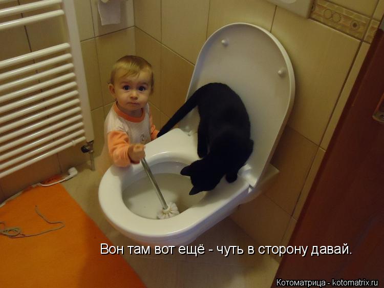 Вон там вот ещё - чуть в сторону давай.... Котоматрица: Вон там вот ещё - чуть в сторону давай.