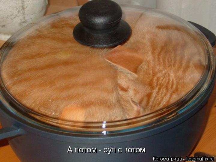 А потом - суп с котом... Котоматрица: А потом - суп с котом