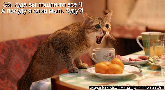 Эй, куда вы пошли-то все?! А посуду я один мыть буду?!... Котоматрица: Эй, куда вы пошли-то все?! А посуду я один мыть буду?!