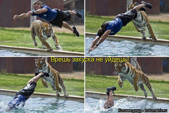 Врешь закуска не уйдешь!... Котоматрица: Врешь закуска не уйдешь!